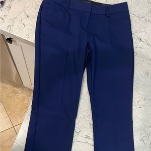 NWT Express columnist barely boot pants